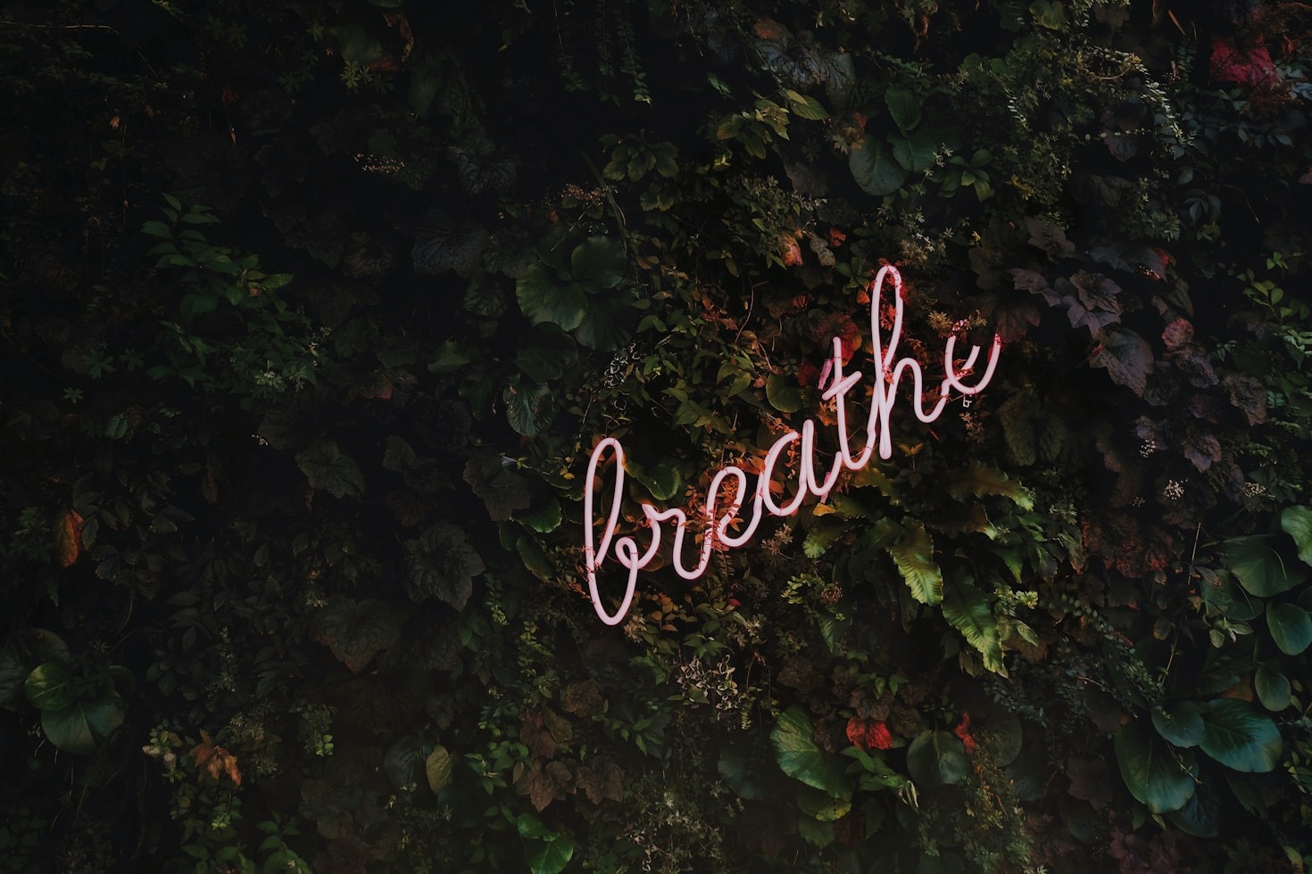 Mindful Living: A Guide to Contentment